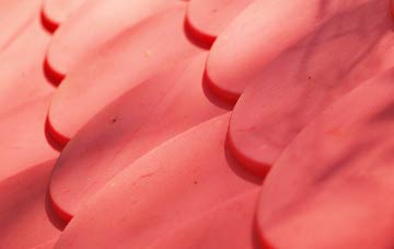 Commonside plastic roof costs