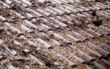 Commonside roof cleaning companies