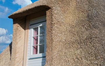 Commonside thatch roof disadvantages