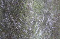 Commonside fibreglass roof work